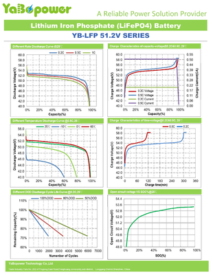 51,2 bateria personalizada de V 100ah Lifepo4 para o armazenamento de energia solar Marine And rv